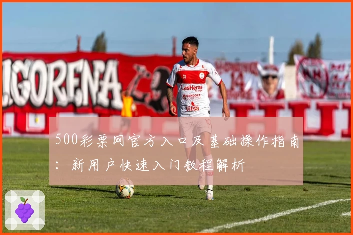 500彩票网官方入口及基础操作指南:新用户快速入门教程解析